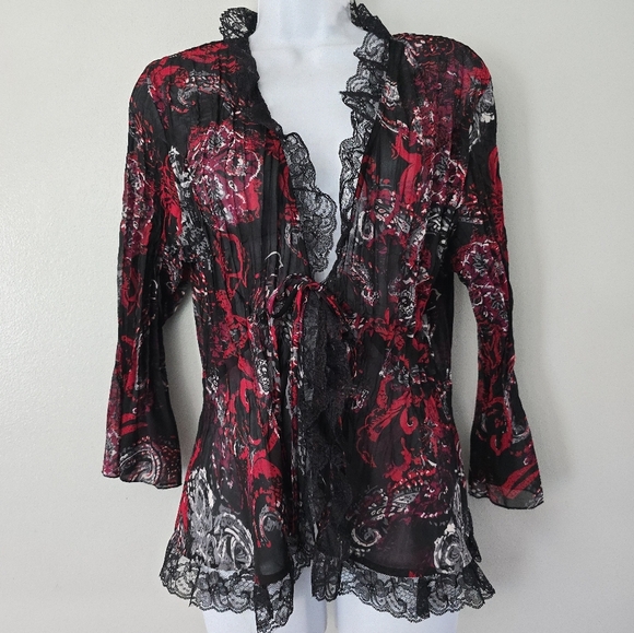 Black Red Sheer Blouse Lace Trim Tie Front Romantic Visual Kei Whimsigoth Large - Picture 2 of 11